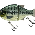 Baby Bass