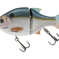 Threadfin Shad