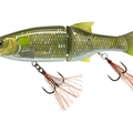 Baroni Baits 675 BB’s Ayu