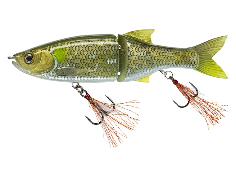 Molix Glide Bait 178 by Baroni Baits