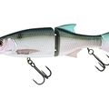 Threadfin Shad