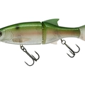 Ghost Gizzard Shad