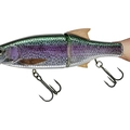 Live Raimbow Trout