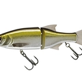 Silver Minnow