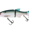 Threadfin Shad