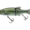 Live Black Bass