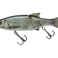 Live Chub