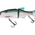 Threadfin Shad