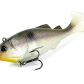 Blueback Herring