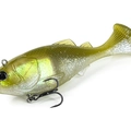 Olive Shad