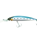 Sardine