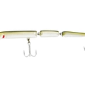 Eel