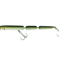 Eel