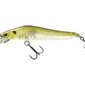 Lugano Shad