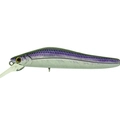 Purple Albino Holo