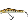 MX Brown Trout