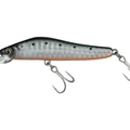 Silver Melon