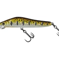 MX Brown Trout