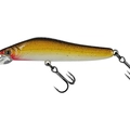 Honey Shad