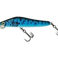 F&B Goby