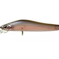 Euro Shad