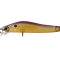 Ledge Rock Shad