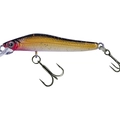 Honey Shad