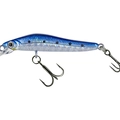 Blue Sarda