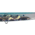 Bleeding Sardine