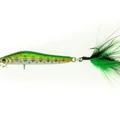 #144 Rainbow Trout