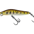 MX Brown Trout