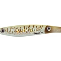 Camo Cuttelfish