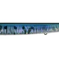 Genkai Sardine