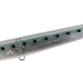 Soul Whitebait GB