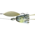 Blue Gill