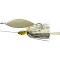 Gold Shiner