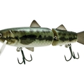 Baby Bass