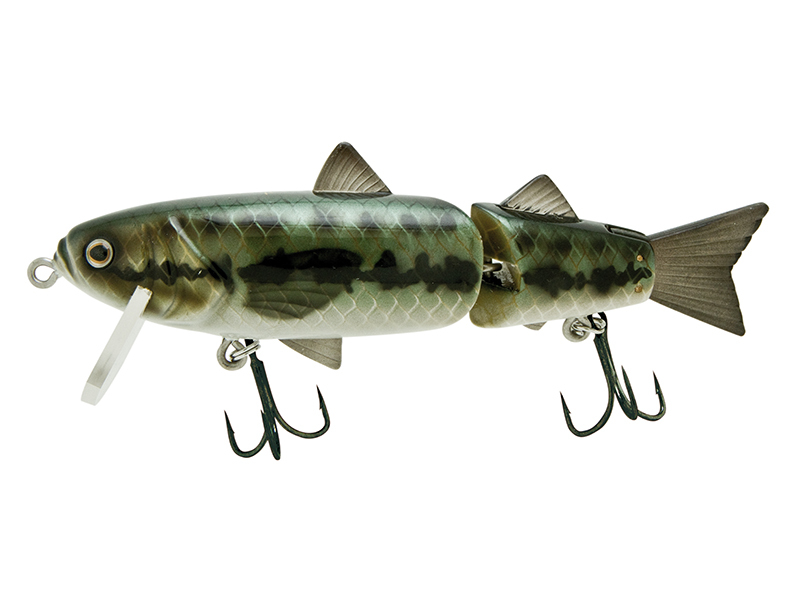 Molix MaderAlive