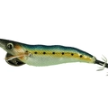 Anchovy