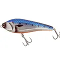 Sinking 202 Sardine Orange Belly