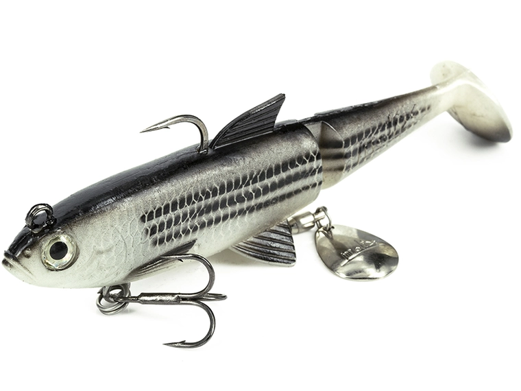 Molix Molix Shad 100