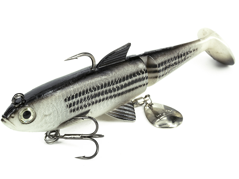 Molix Molix Shad 100