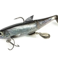 Live Chub