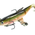 Live Rainbow Trout