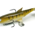 Zander