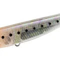 UV Sight Shirasu GB