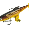Carp