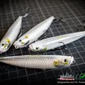 WTD90T 180 Silver Albino 1