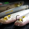 WTD90T 180 Silver Albino 2