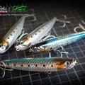 WTD90T 181 Sardine 1